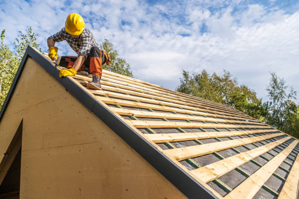 Best Roof Gutter Cleaning  in Jean Fitte, LA